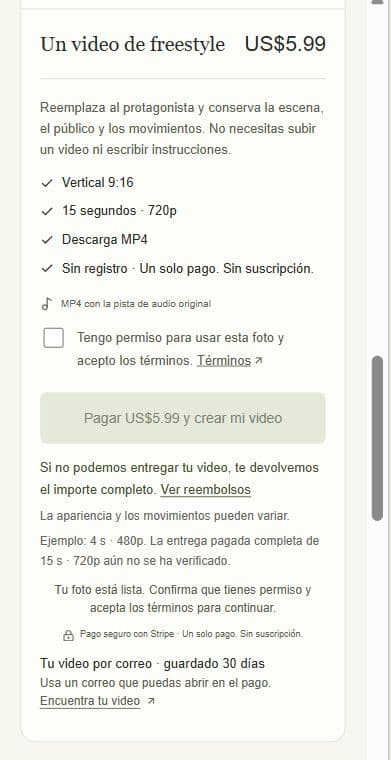 Captura del resumen de compra con precio y botón de pago, antes de aceptar los términos